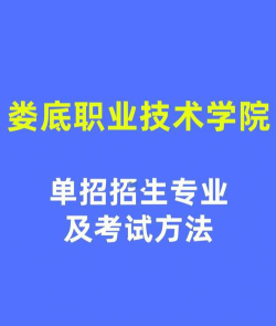 娄底职业技术学院动漫制作技术专业怎么样