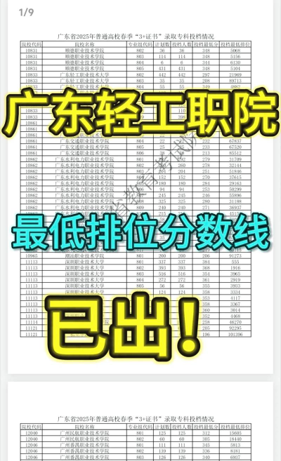 2024年广东轻工职业技术大学在四川全部专业录取位次、分数线