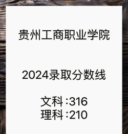 2024湖南工商职业学院在贵州录取分数线