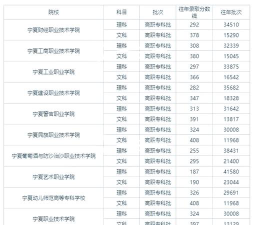 2024宁夏职业技术学院在河南录取分数线