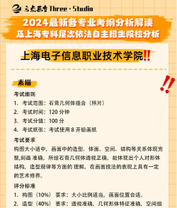 2025艺考生文化课390分能上上海电子信息职业技术学院吗