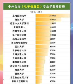 电子科技大学中外合作办学学费多少