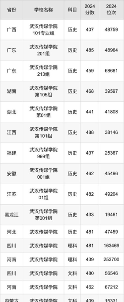 2024年武汉传媒学院在四川全部专业录取位次、分数线