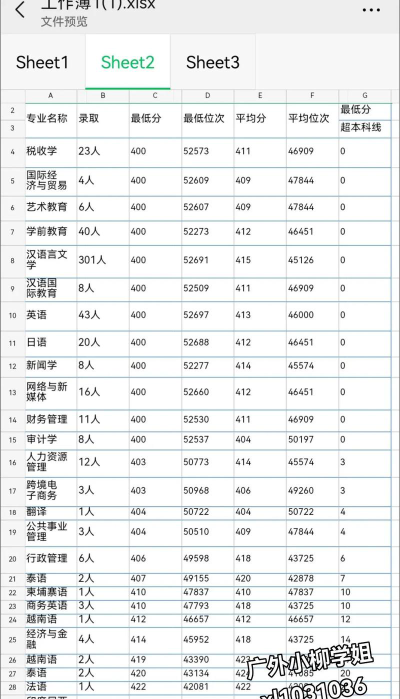 广西外国语学院2024年在河南各专业录取分数线