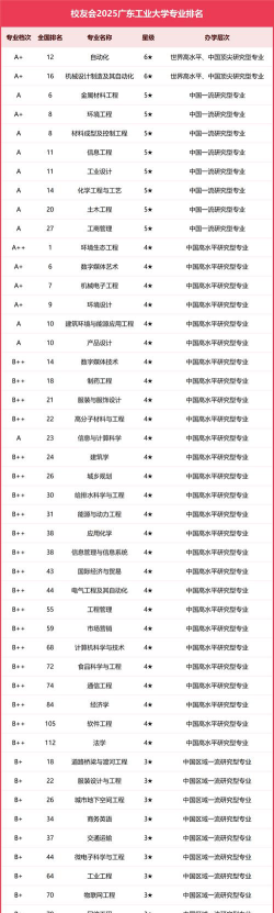 2025广东工业大学中外合作办学专业有哪些