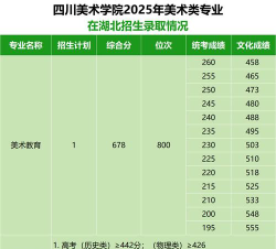 2025美术生文化课488分能上宜宾学院吗