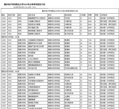 2025艺考多少分能上重庆电子科技职业大学