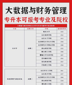 2025年411分能考大数据与财务管理专业吗