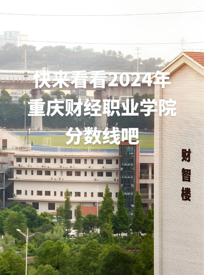 2024重庆财经职业学院在黑龙江录取分数线