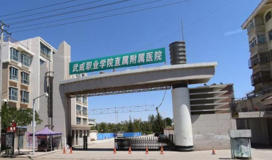 2025武威卫生学校有哪些