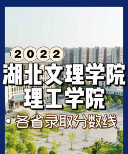 2024年湖北文理学院理工学院在广西录取分数线