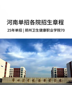 郑州卫生健康职业学院中外合作办学学费多少钱