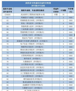 武汉软件工程职业学院中外合作办学学费多少钱