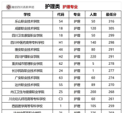 2025四川排名前三的民办高级护理学校名单