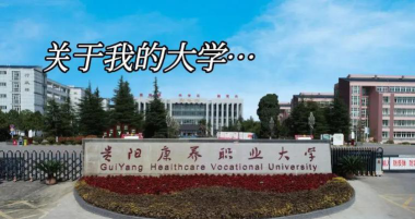 徐州医科大学VS贵阳康养职业大学哪个实力更强