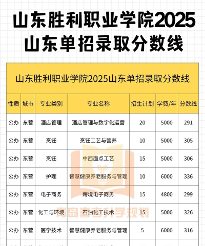 2025年山东胜利职业学院有有哪些专业推荐