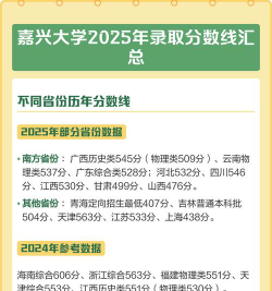 嘉兴大学2025年在山东各专业录取分数线