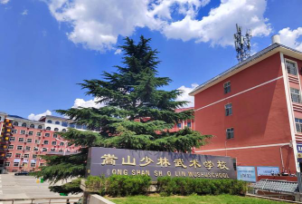 嵩山少林武术职业学院评价怎么样[2025年最新更新]