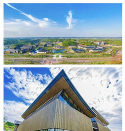 四川音乐学院成都美术学院评价怎么样[2025年最新更新]