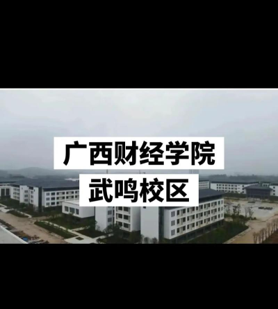 广西财经学院VS闽南理工学院哪个实力更强[2025年最新更新]