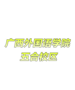 肇庆学院VS广西外国语学院哪个实力更强[2025年最新更新]