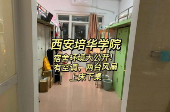 培华到底怎么样