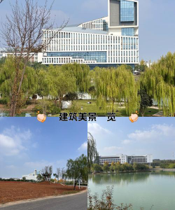 安徽宣城校区怎么样