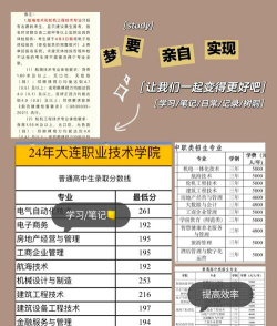 大连职业技术学院全国各省招生计划