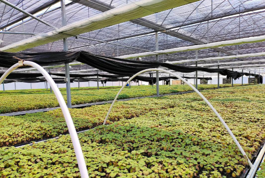 种植养殖专业怎么样