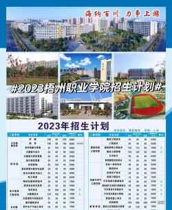 梧州职业学院全国各省招生计划