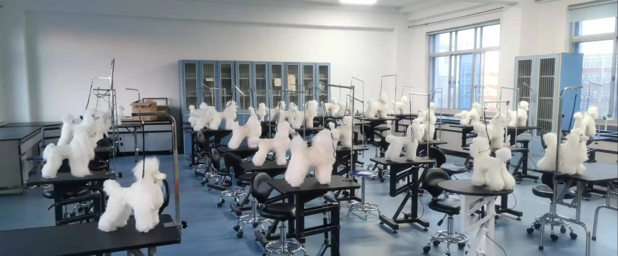 青岛机械专业怎么样