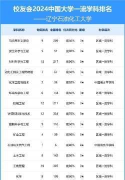 2024辽宁石油化工大学各学科排名？