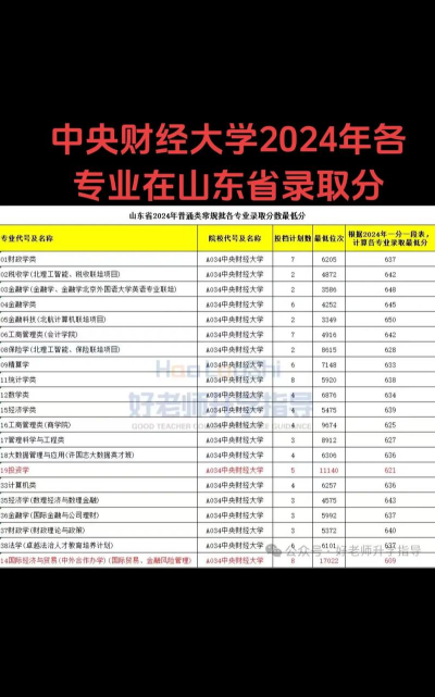 2024年中央财经大学在山东录取分数线