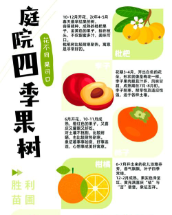 果树专业排名最新