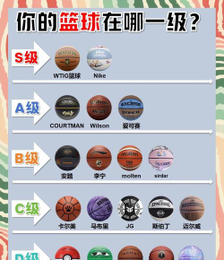 2024推荐篮球专业排名