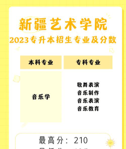 音乐学专业新疆录取分数线多少分