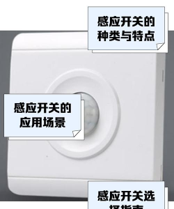 感应开关专业排名