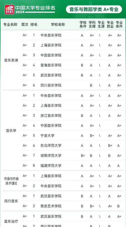2024音乐大学推荐专业排名