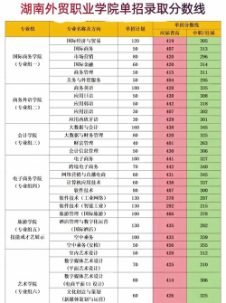 2024湖南外贸王牌专业排名