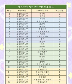 2024华东师排名大专业