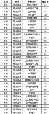 2024齐鲁医疗学院专业排名
