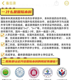 国际本科是什么意思