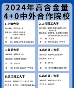 哪些大学有中外合作办学专业