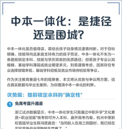 中本一体化是什么意思