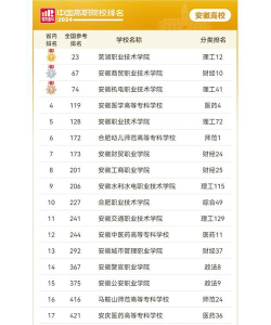 2024安徽各个学校专业排名