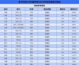2024年电子科技大学成都学院在广西录取分数线