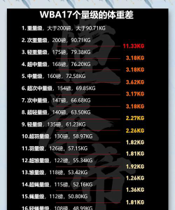 2024自学拳击专业排名
