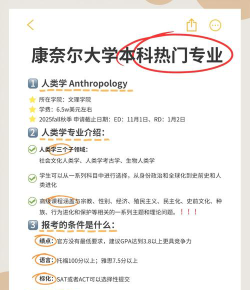 2024康奈尔高端专业排名