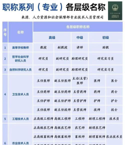 2024年定襄村官学什么专业好