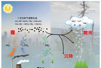 形成酸雨的主要气体是什么